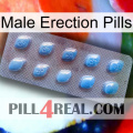 Male Erection Pills viagra3